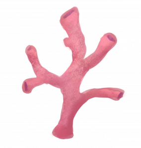 A pink, hand-drawn sea sponge. A pink hand-drawn sea sponge.